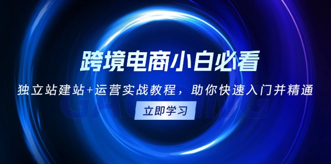 （13503期）跨境电商小白必看！独立站建站+运营实战教程，助你快速入门并精通_山林科技社-山林科技社