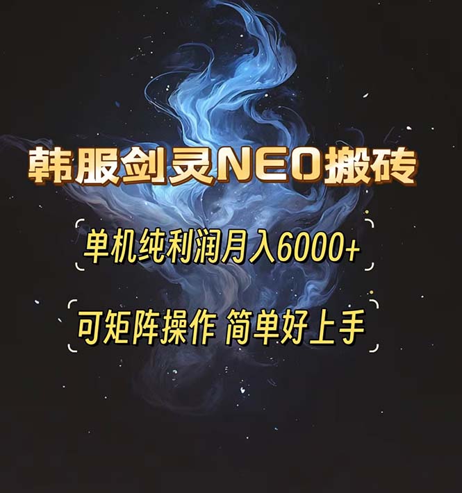 （13435期）韩服剑灵NEO搬砖攻略，单机纯利润月入6000+ 可矩阵操作，简单好上手。_山林科技社-山林科技社